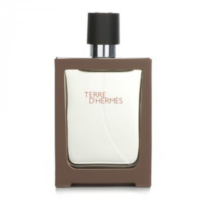 Hermes Terre Rechargeable