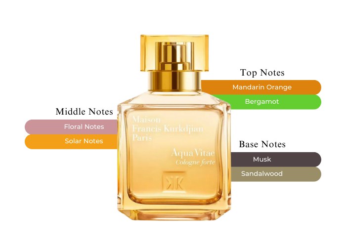 Maison Francis Kurkdjian Francis Kurkdjian Aqua Vitae Cologne Forte