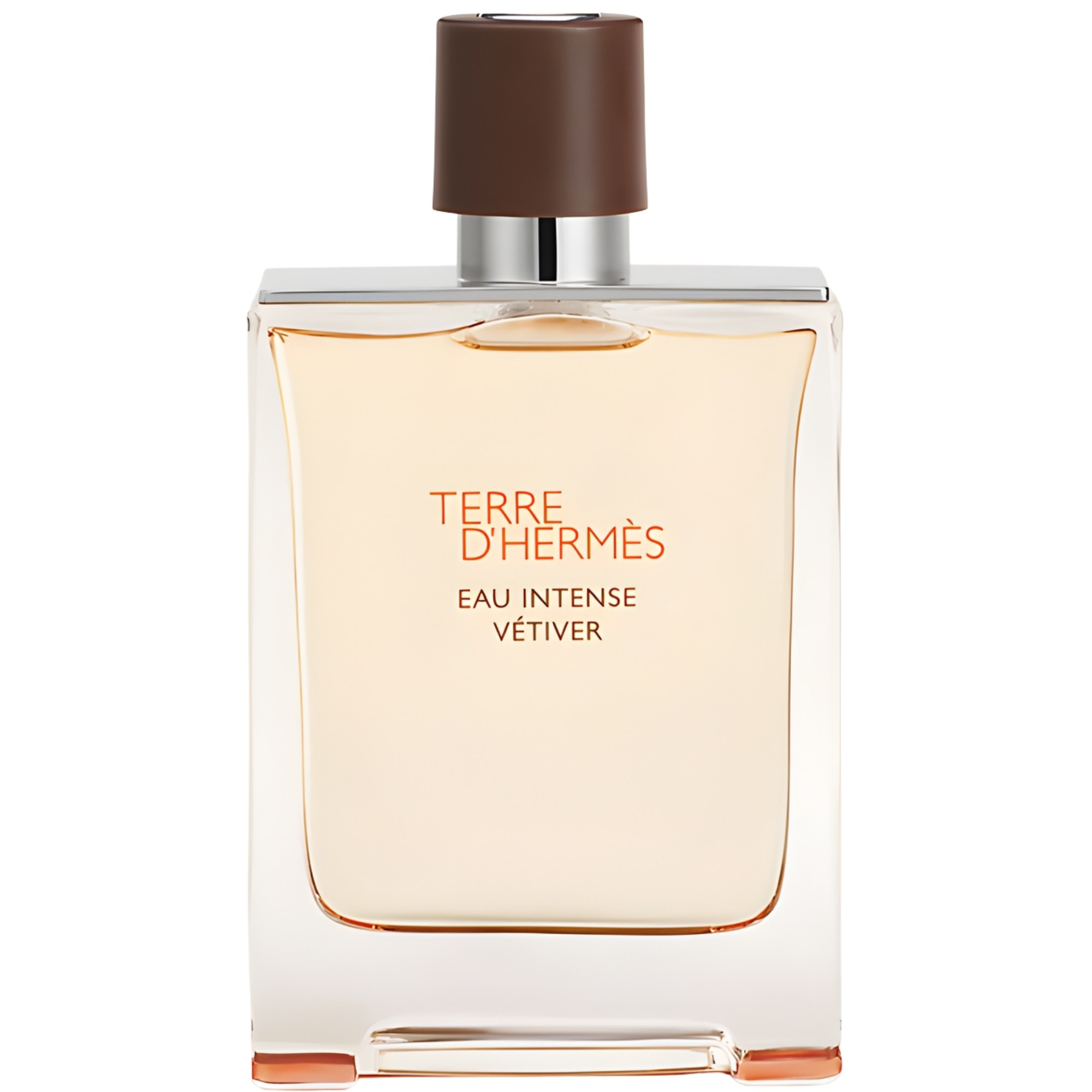 Hermès Terre d'Hermès Eau Intense Vétiver Eau de Parfum 100ml