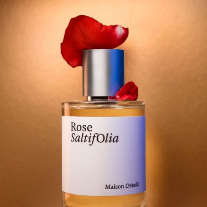 Maison Crivelli Rose Saltifolia