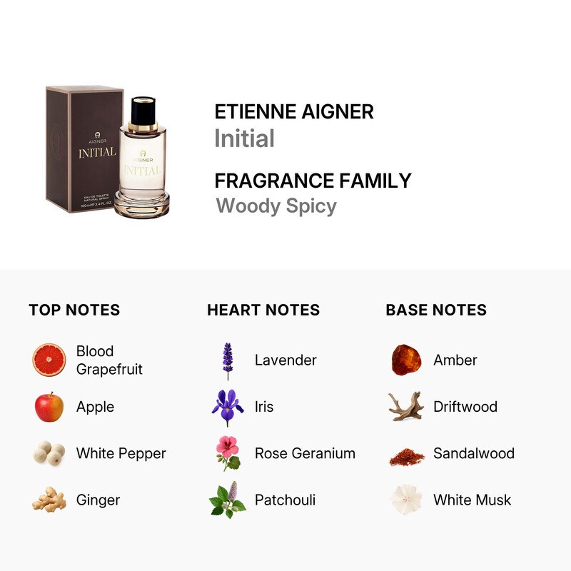 Aigner Initial Eau de Toilette 100ml