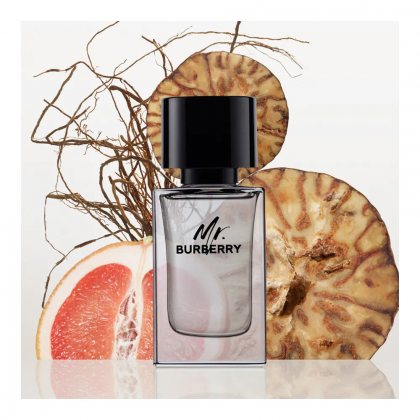 Burberry Mr. Burberry Eau de Toilette 100ml Vaporizador