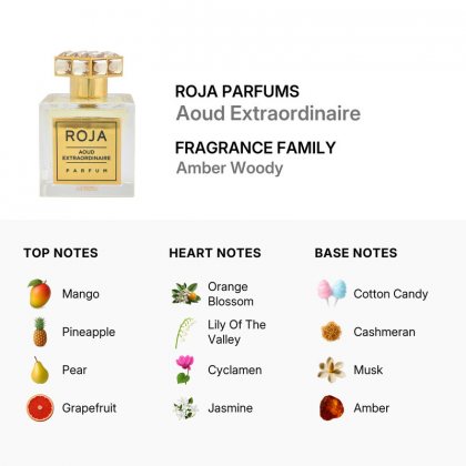 Roja Parfums Aoud Extraordinarie