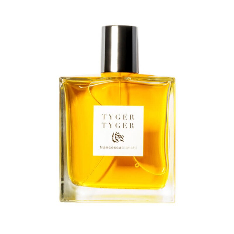 Francesca Bianchi Tyger Tyger De
