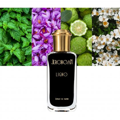 Jeroboam Ligno De
