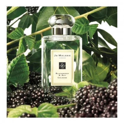 Jo Malone Blackberry & Bay Cologne (Without Box)