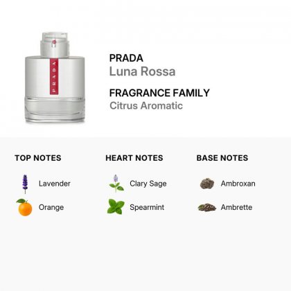 Prada Luna Rossa