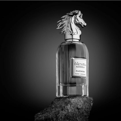 Paris Corner Kaheela Platinum