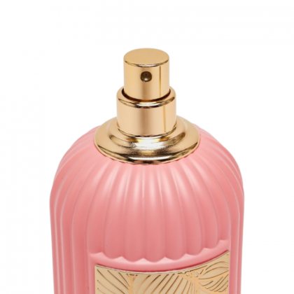 Paris Corner Qissa Pink